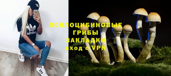 spice Абинск