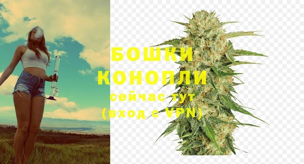 СК Корсаков